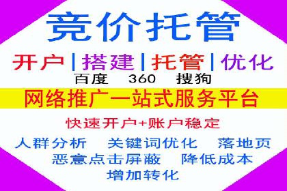 专业SEM推广托管，案例见证效果